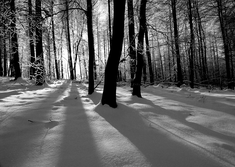 Winter _DDC8631 Kopie.jpg